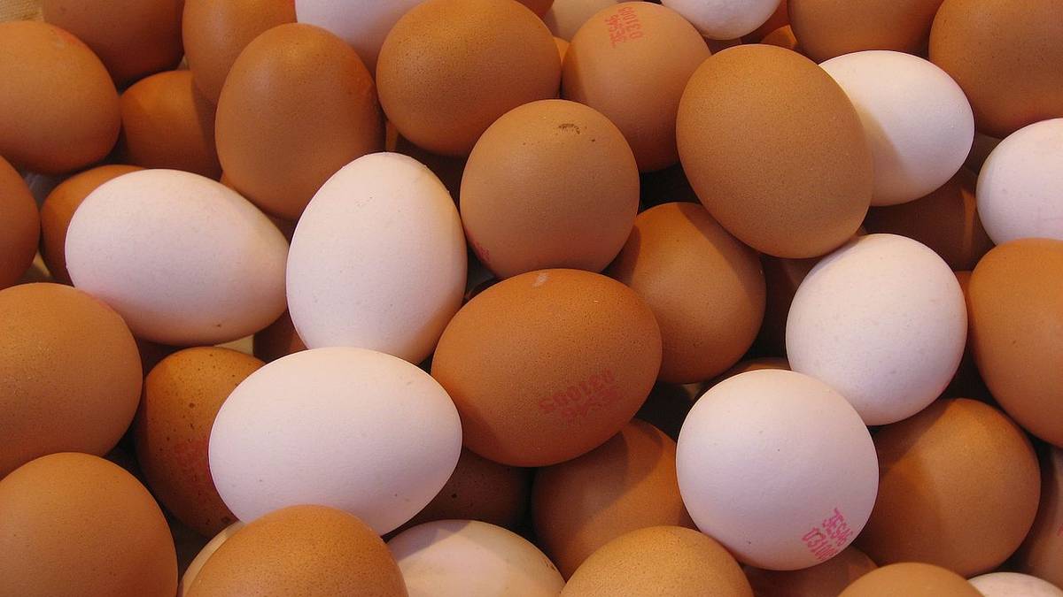 Jaja z wolnego wybiegu, czyli jak w Europie rozprzestrzenia się kłamstwo