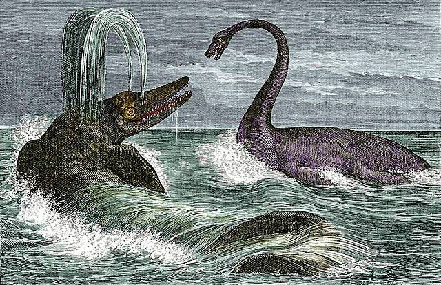 Ichthyosaurus (left) and Plesiosaurus (right) reptiles, 19th-century artwork. These extinct marine reptiles co-existed in the Early Jurassic Period (200 to 176 million years ago). They are examples of ichthyosaurs and plesiosaurs. The largest ichthyosaurs were over 10 metres long. The largest plesiosaurs reached up to 15 metres in length. The two were often depicted in battle. The water spouts and blowholes on the Ichthyosaurus are now known to be inaccurate. Artwork from &#8216;The World Before the Deluge&#8217; (Louis Figuier, 1891 edition).

