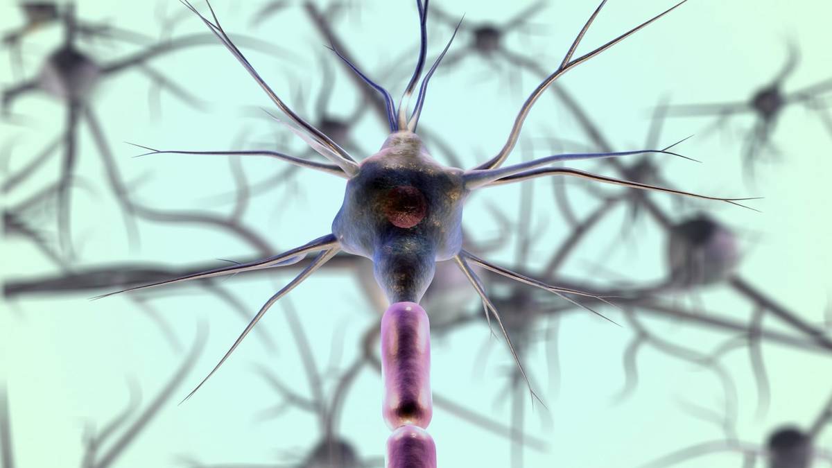 Jak to się dzieje, że niektóre synapsy są aktywne, a inne nie? /Fot. Pixabay
