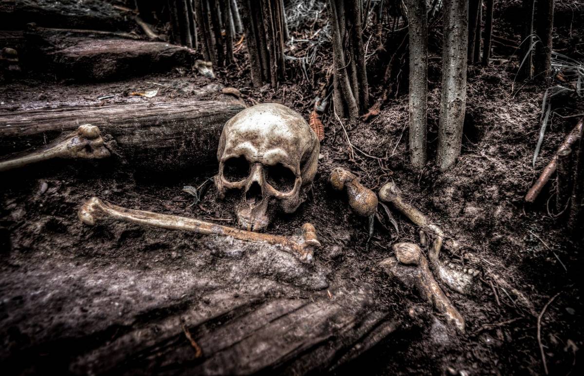 Znaleźli bezgłowe szkielety w grobach sprzed 1700 lat. Tak wyglądał przedziwny zwyczaj pogrzebowy