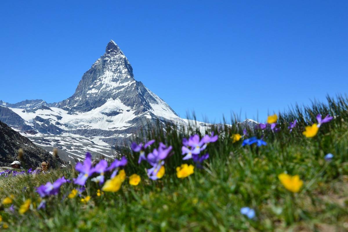 Matterhorn, Alpy Szwajcarskie &#8211; czasami można znaleźć tam skarb większy od pięknych widoków /Fot. Pixabay
