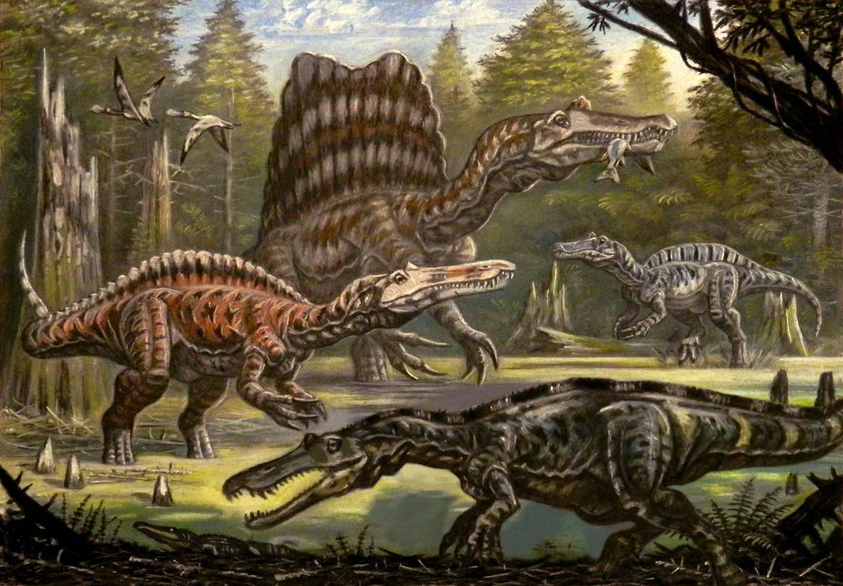 Różne spinozaury / źródło: Wikimedia Commons, CC-BY-3.0
