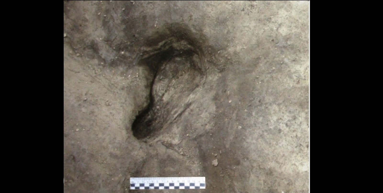 Znaleźli ślady stóp sprzed 300 000 lat. Kto je pozostawił?