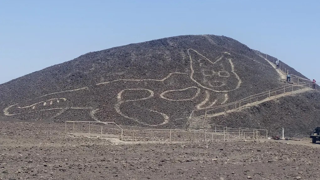 Ogromny kot na geoglifie sprzed 2200 lat. To kolejny ze słynnych rysunków z Nazca
